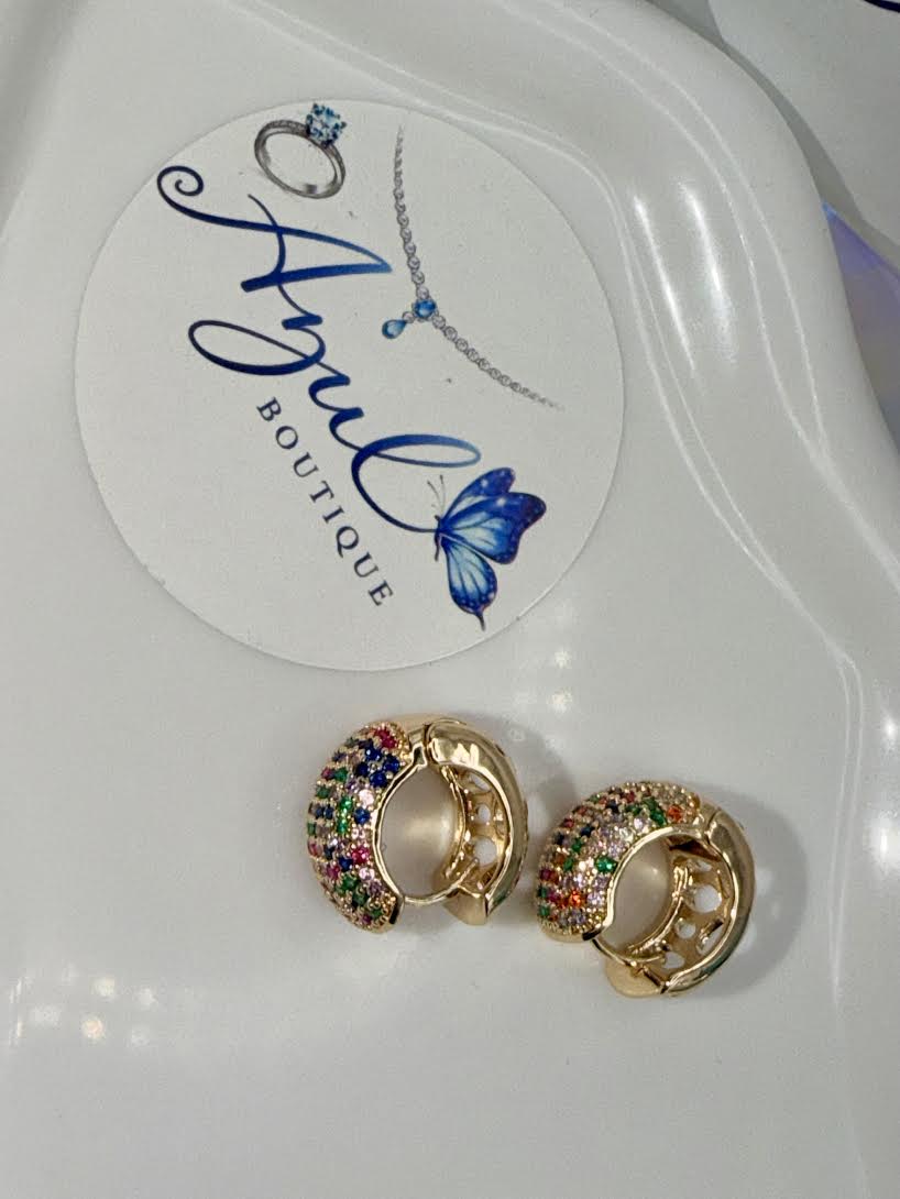 Chunky multi color hoops earrings