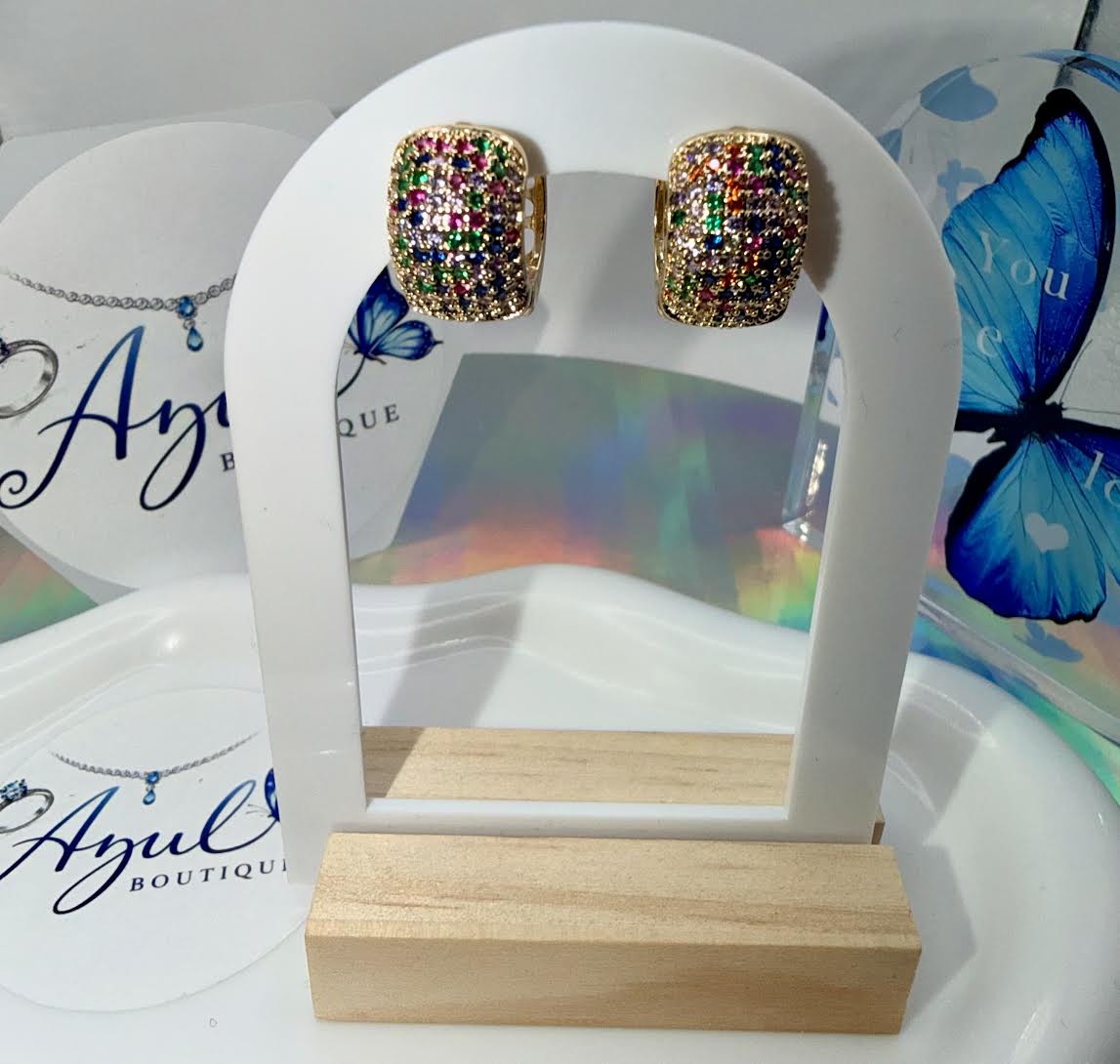 Chunky multi color hoops earrings