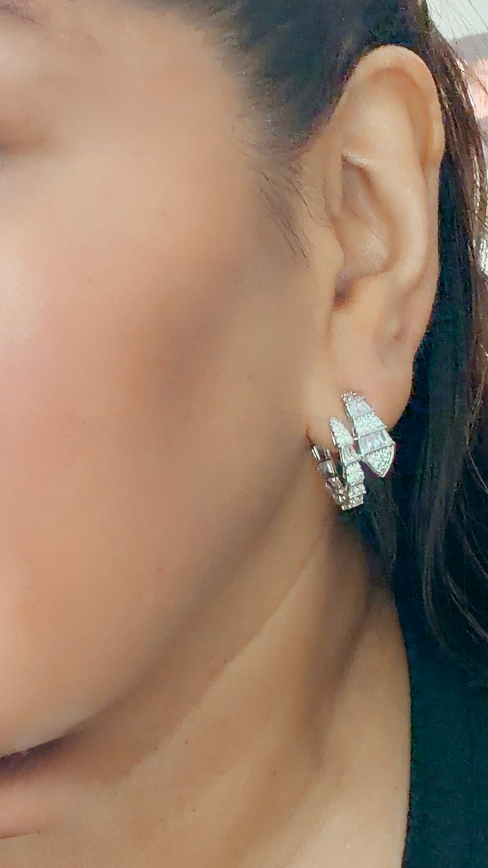 Snake Earrings High-end Design Silver