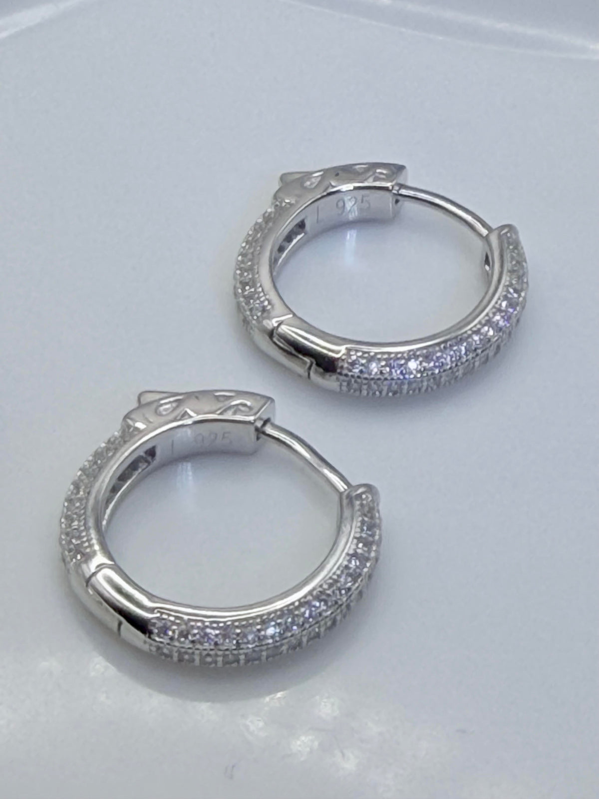 Shiny Hoop earrings