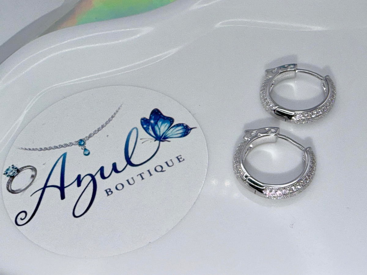 Shiny Hoop earrings